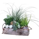 Autumn planting of heather